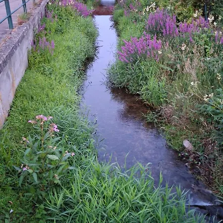Appartamento L'échappée étoilée Et Son Jacuzzi Privatif Rombach-le-Franc